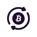 coin icon